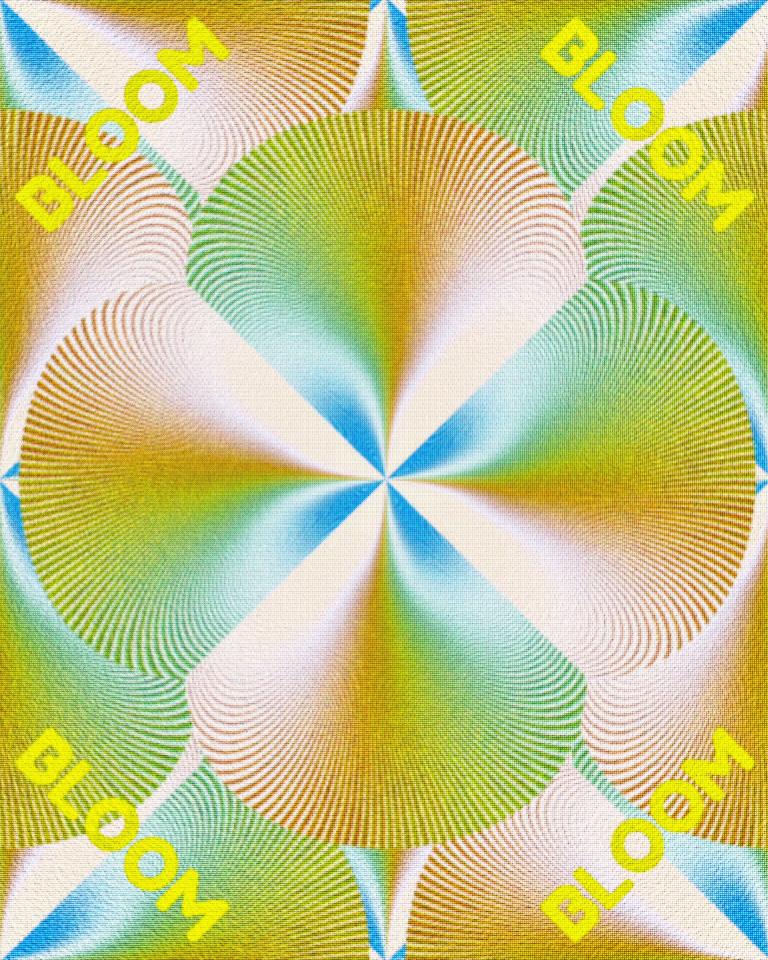 1-FEED-STILL-5