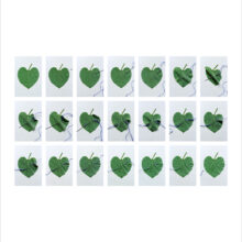 ananyatanttu2024_21stepsofheartpuncture_correspondences2025_1