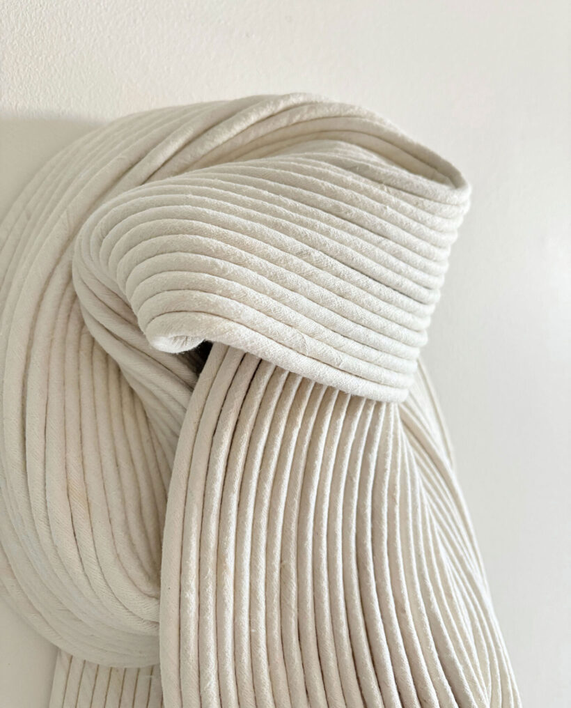 Sini-Villi_North-Wind_2025_close