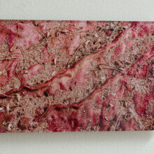 ananyatanttu_photographs_silisec_print_lokalhelsinki2025-3