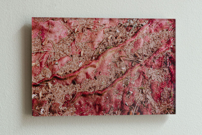 ananyatanttu_photographs_silisec_print_lokalhelsinki2025-3