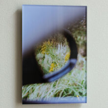 ananyatanttu_photographs_silisec_print_lokalhelsinki2025-8