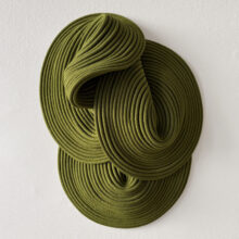 Sini-Villi_Algae-III
