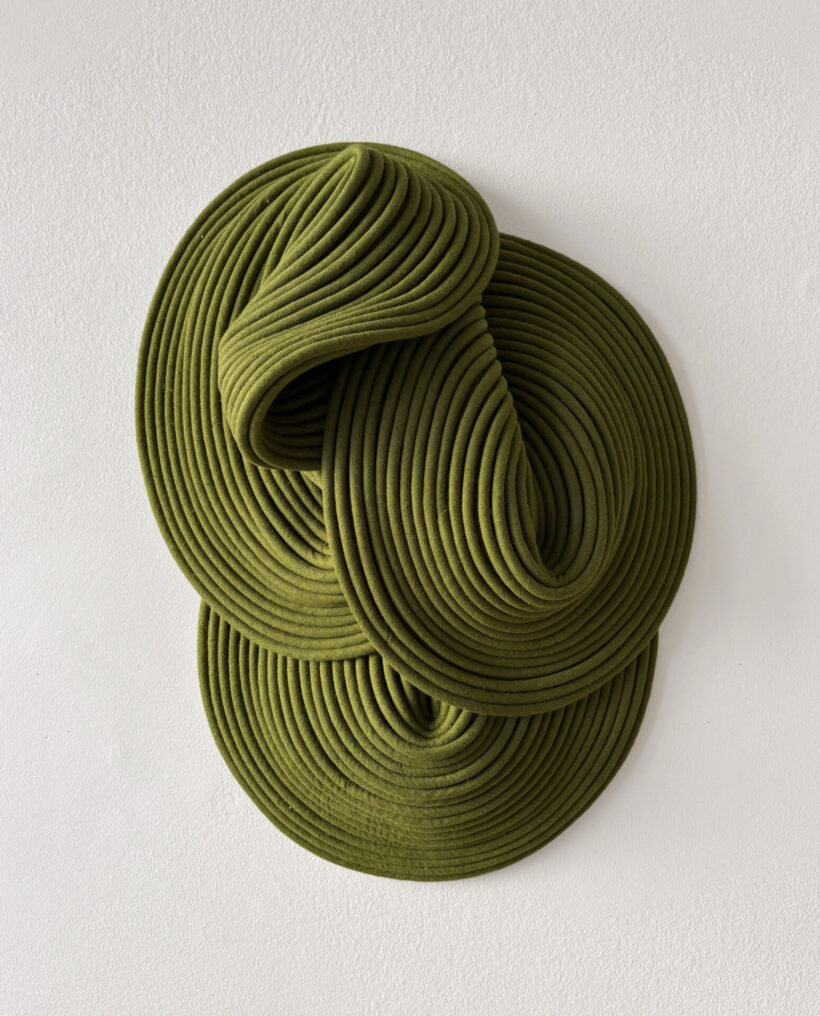 Sini-Villi_Algae-III