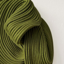 Sini-Villi_Algae-III_close