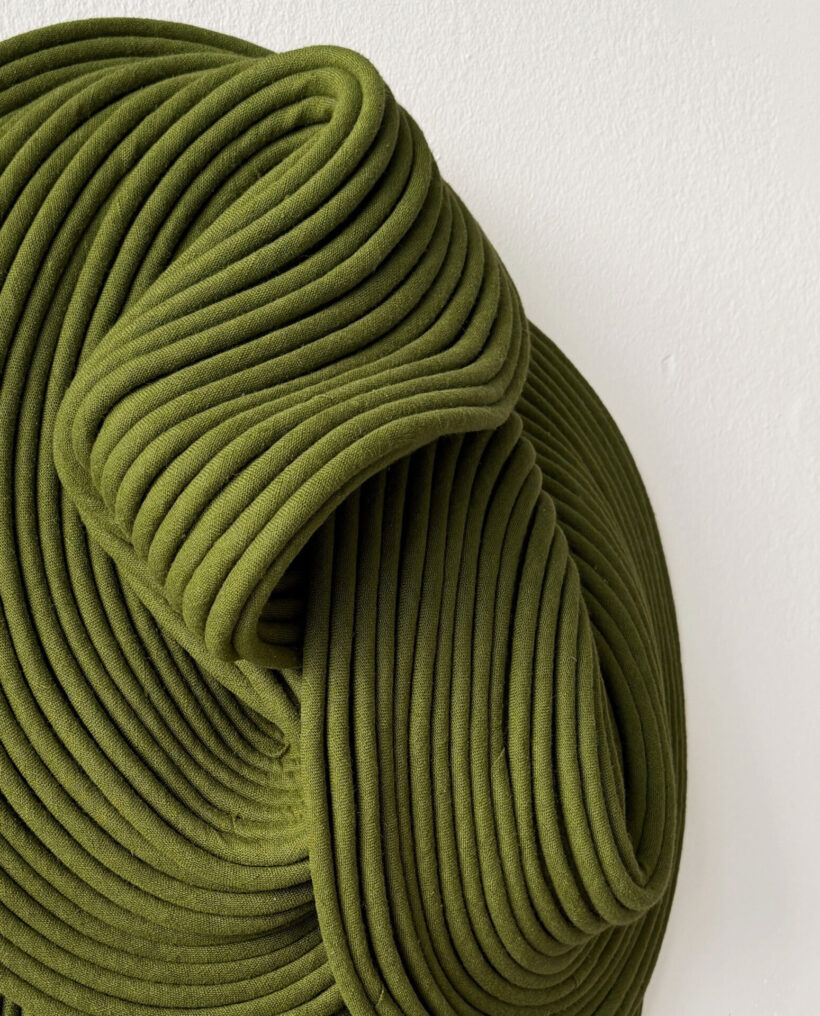 Sini-Villi_Algae-III_close