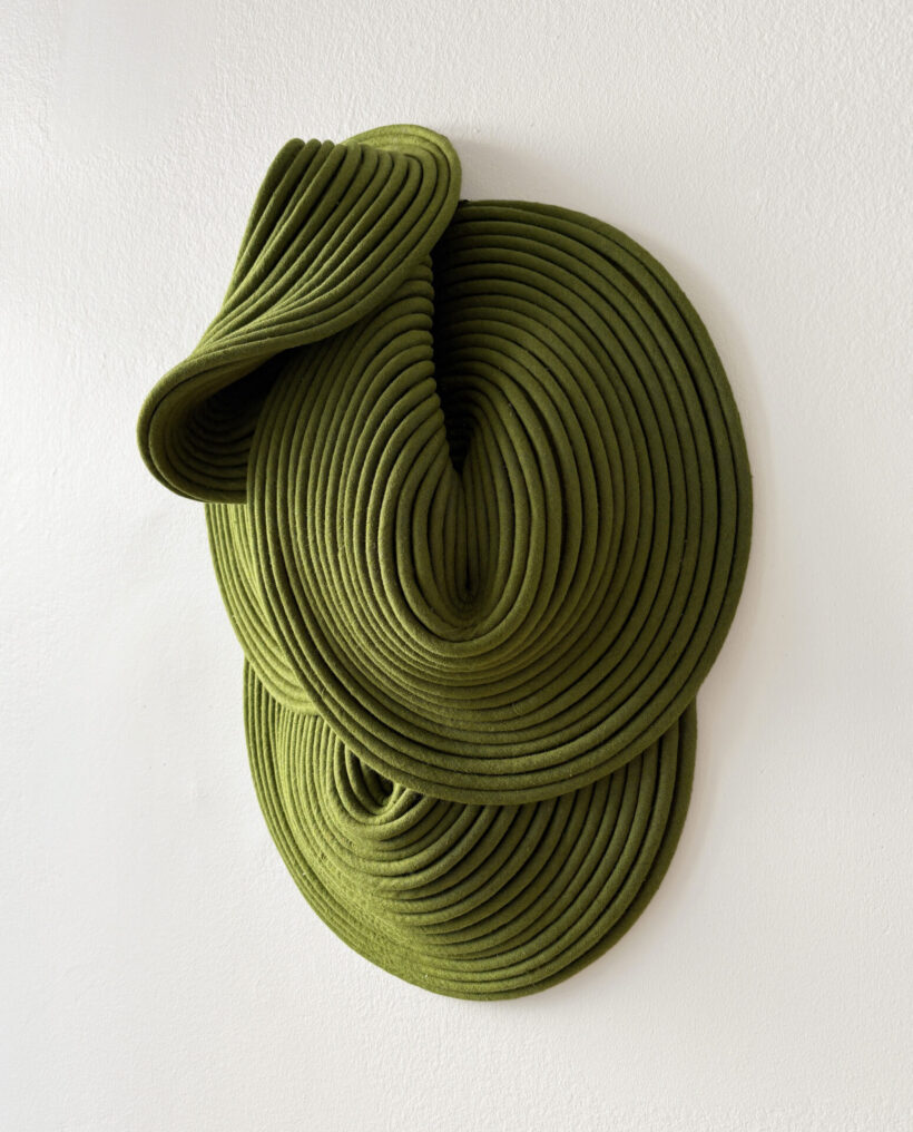 Sini-Villi_Algae-III_side