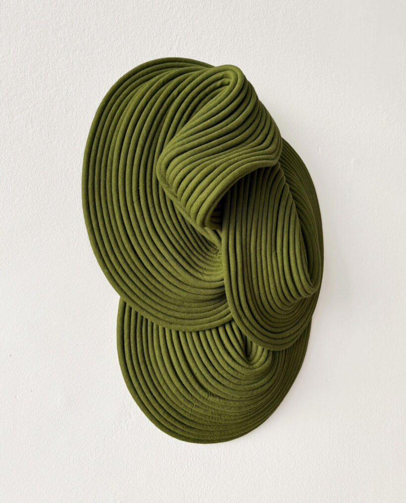 Sini-Villi_Algae-III_side2