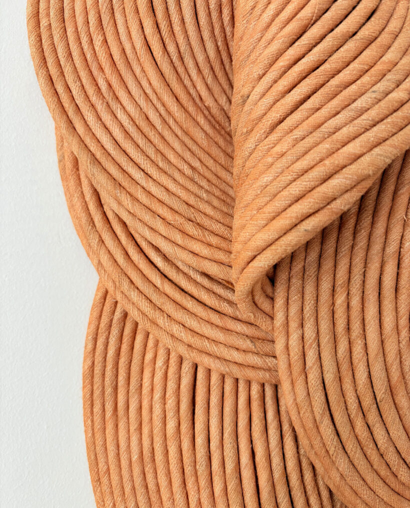 Sini-Villi_Ocher_close